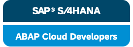 SAP Cloud developer