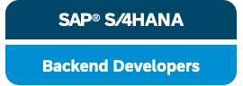 SAP Backend Developer