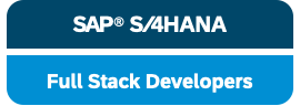 SAP FullStack Developer